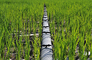 錫林郭勒盟2011年牧區節水灌溉鉰草地項目